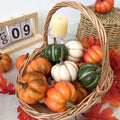 Pumpkin Patch Set